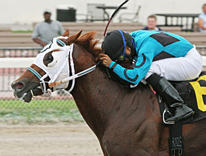 Dual Exhauzt wins the 2012 Kenny Noe Jr. Handicap.