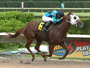 Dual Exhauzt wins the 2012 Kenny Noe Jr. Handicap.