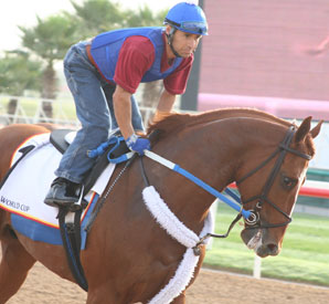 Curlin - Thursday, March 27 (Photo Credit: Michele MacDonald)