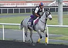 Dubai Carnival: March 6 Morning Training