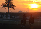 Dubai World Cup: Training March 29, 2013