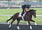 Dubai World Cup: Morning Training 03/26 Part I