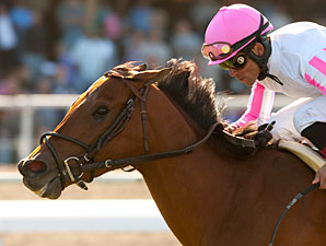 Dubawi Heights wins the Gamely Stakes.