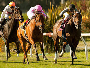 Dubawi Heights, left, beats Celtic Princess, right, to win the Gamely Stakes.