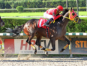 Ducduc wins the 2012 Our Dear Peggy Stakes.