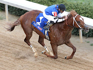 Duke of Mischief wins the 2010 Oaklawn Handicap.