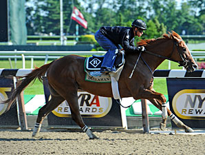 Dullahan works at Belmont Park 6/3/2012