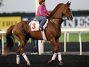 Dullahan at the track in Meydan.