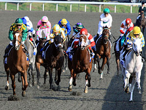 Dullahan wins the 2012 Blue Grass Stakes.