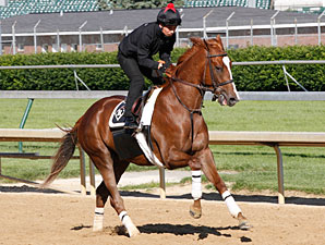 Dullahan - Churchill Downs, May 10, 2012.
