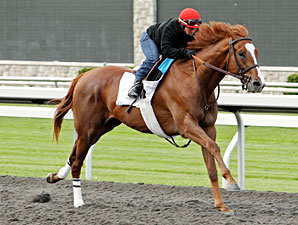 Dullahan - Keeneland, April 8, 2012.