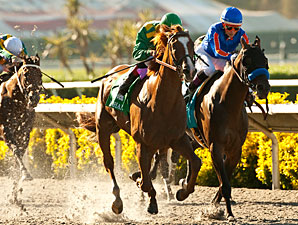 Dullahan wins the 2012 Pacific Classic.
