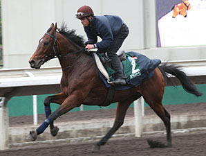 Dunaden - Hong Kong 2012
