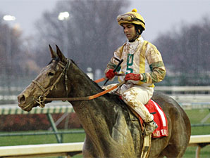 Dundalk Dust wins the 2010 Falls City Handicap.