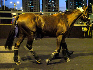 Durban Thunder arrives in Hong Kong, December 3, 2011.