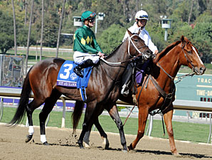 Dust And Diamonds before the Breeders' Cup Filly & Mare Sprint.