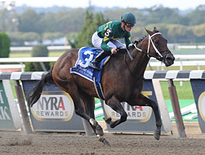 Dust and Diamonds wins the 2012 Gallant Bloom.