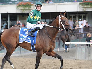 Dust and Diamonds wins the 2012 Gallant Bloom.