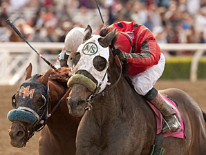 Dynamic Host wins the 2012 Tokyo City Cup.