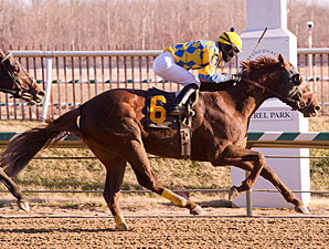 Dynamic Strike wins the 2013 Miracle Wood Stakes.