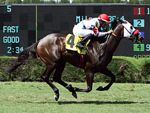 Dysprosium wins the 2013 Needles Stakes.