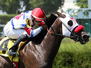 Dysprosium wins the 2013 Needles Stakes.