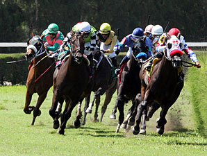 Dysprosium wins the 2013 Needles Stakes.