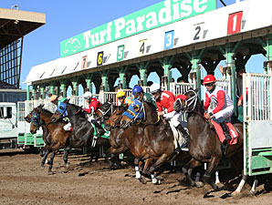 E Z Kitty wins the 2013 Kachina Handicap.