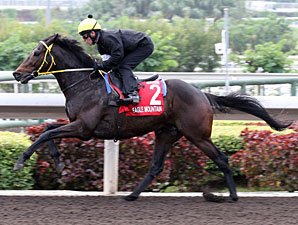 Eagle Mountain preps in Hong Kong.