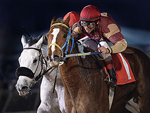 Early Fantasy wins the 2015 Yellow Rose Stakes.