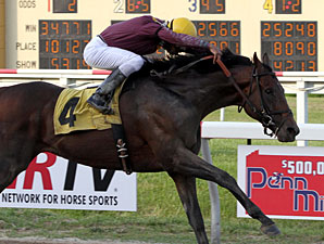 Easter Gift wins the 2013 Mountainview Handicap.