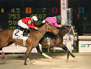 Eccentric Girl wins the 2010 Premier Night Ladies Starter.
