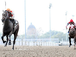Effie wins the 2011 Louisiana Futurity - Filly Division.