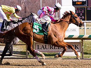 Eighttofasttocatch wins the 2011 Harrison Johnson Memorial Stakes.