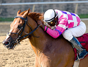 Eighttofasttocatch wins the 2011 Japan Racing Association Stakes.