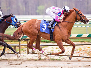 Eighttofasttocatch wins the 2012 Jennings Handicap.