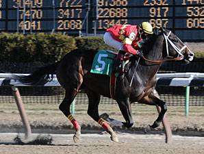 Eightyfiveinafifty breaks his maiden by 17 1/4 lengths on January 9, 2010.