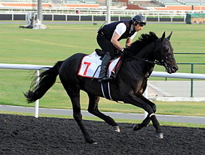 Eishin Flash - Dubai 2012