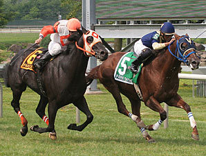 El Churruca wins the 2011 Parx Dash.