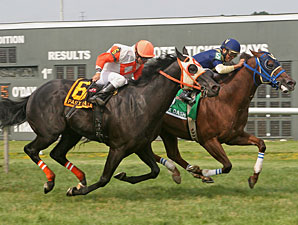 El Churruca wins the 2011 Parx Dash.