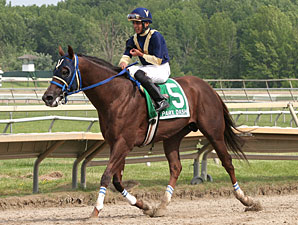 El Churruca wins the 2011 Parx Dash.