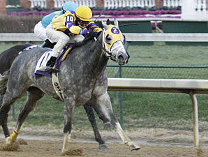 El Grayling finishes 2nd in Churchill ALW 11/27/10.