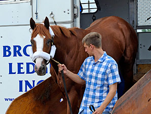 El Padrino arrives at Churchill Downs on May 1, 2012.