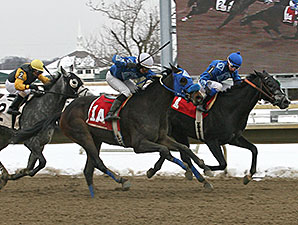 Elevated wins the 2014 Christopher Elser Memorial Stakes.