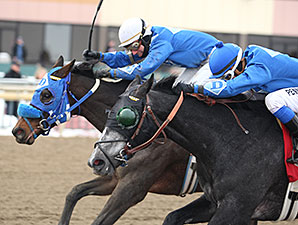 Elevated wins the 2014 Christopher Elser Memorial Stakes.