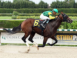 Elusive Blueboy wins the 2013 Excellent Luck Stakes.
