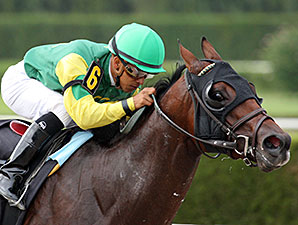 Elusive Blueboy wins the 2013 Excellent Luck Stakes.