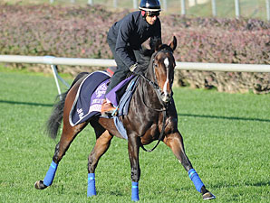 Elusive Kate at Churchill Downs, Nov. 1, 2011