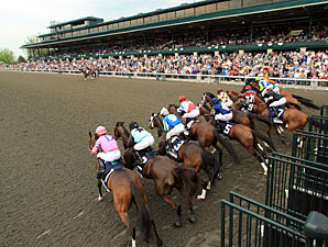 Embur's Song wins the 2011 Doubledogdare.