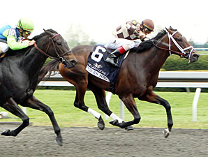 Embur's Song wins the 2011 Doubledogdare.